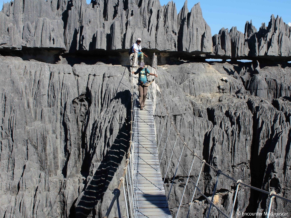 bridge_tsingy_of-bemaraha_national-park_west_madagascar