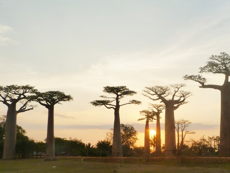 Madagascar’s Must-Sees With A Private Plane