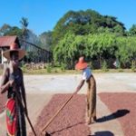 Visite des plantations Millot – Déjeuner chez Mado – Transfert à IBC – Visite d’Ambatomiloloha Nuitée en demi-pension, Madagascar