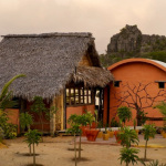 Visite des plantations Millot – Déjeuner chez Mado – Transfert à IBC – Visite d’Ambatomiloloha Nuitée en demi-pension, Madagascar