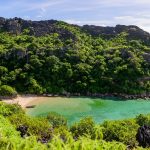 De Diego Suarez à Nosy Be : grandes baies, tsingy, forêts et lagons — Nosy Be