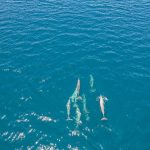 De Diego Suarez à Nosy Be : grandes baies, tsingy, forêts et lagons — Nosy Be