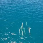 De Diego Suarez à Nosy Be : grandes baies, tsingy, forêts et lagons — Nosy Be