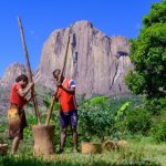 Incontournable RN7 — Fianarantsoa – Ambalavao
