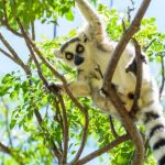 Incontournable RN7 — Fianarantsoa – Ambalavao