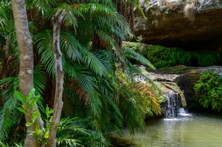 Cascade et végétation d'oasis dans un canyon de l'Isalo
