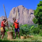 La nouvelle route du Sud — Journée à Ambalavao :  Lémuriens et Vélo
