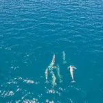 Panorama du Nord : entre parcs et lagons — Nosy Komba